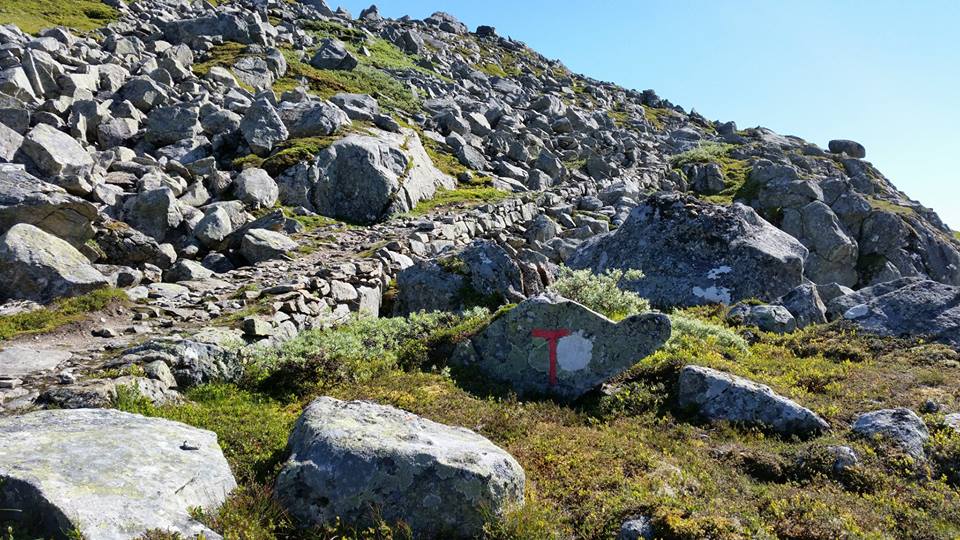 Flotte oppmurt trase`ved Gjeldfeskaret